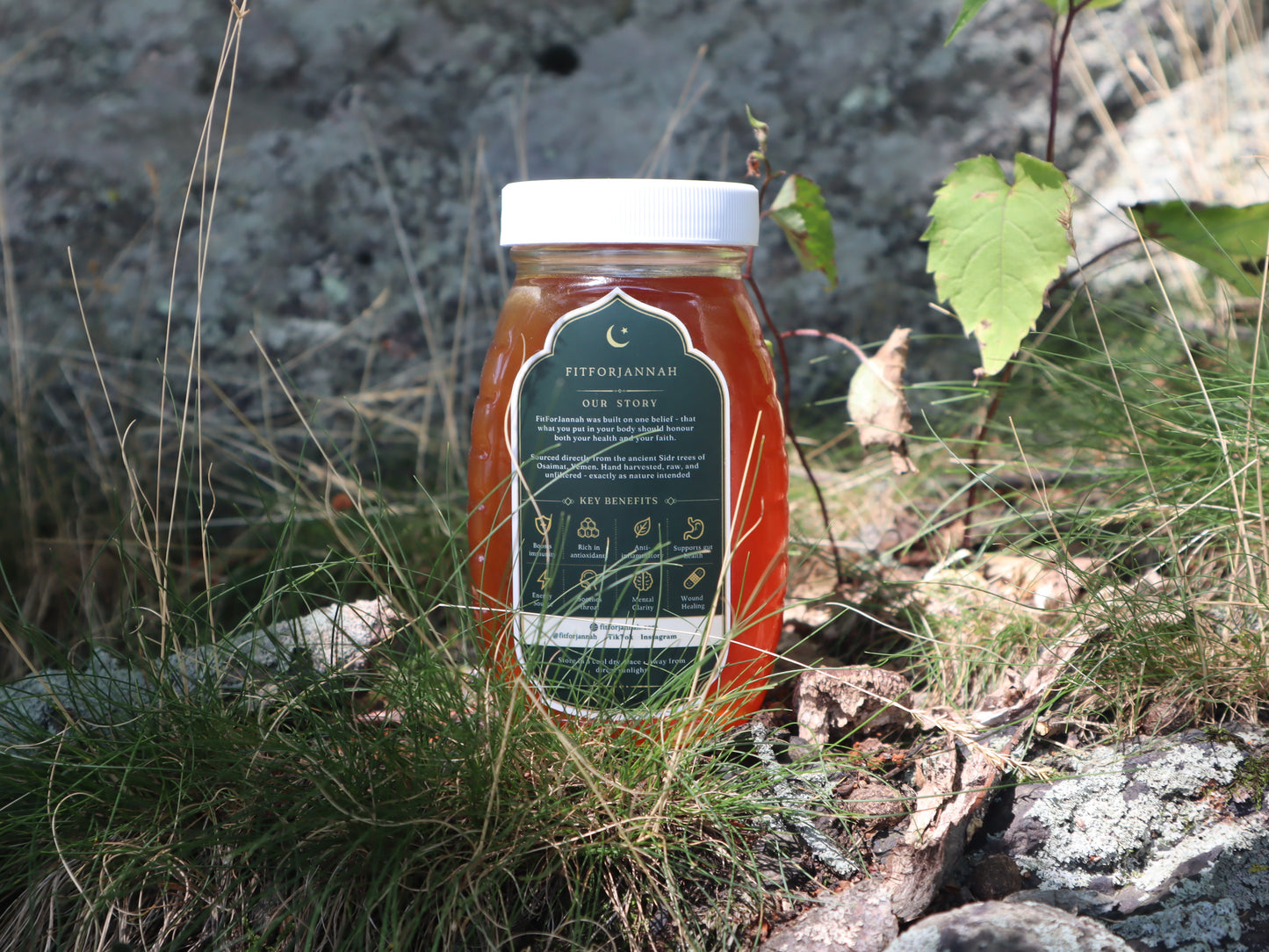 Premium Sidr Honey from Wadi Do'an — Raw & Unfiltered, Hand-Harvested in Yemen