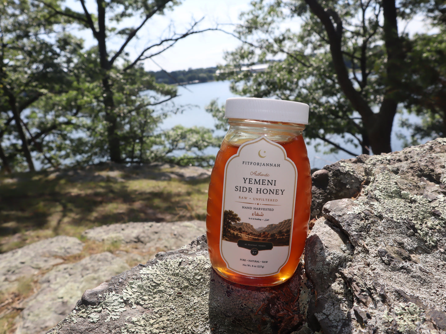 Premium Sidr Honey from Wadi Do'an — Raw & Unfiltered, Hand-Harvested in Yemen