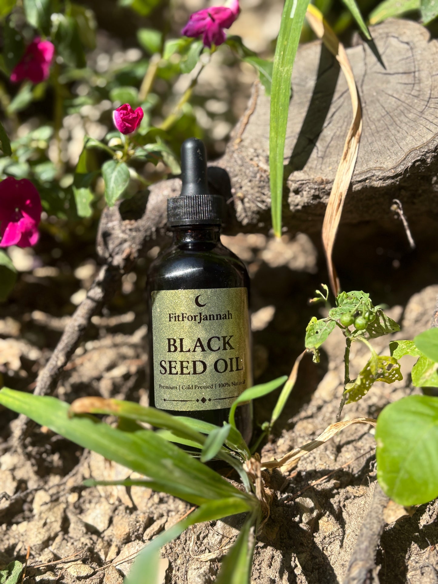 Limited Batch: Premium Cold-Pressed Black Seed Oil + FREE 21-Day Guide