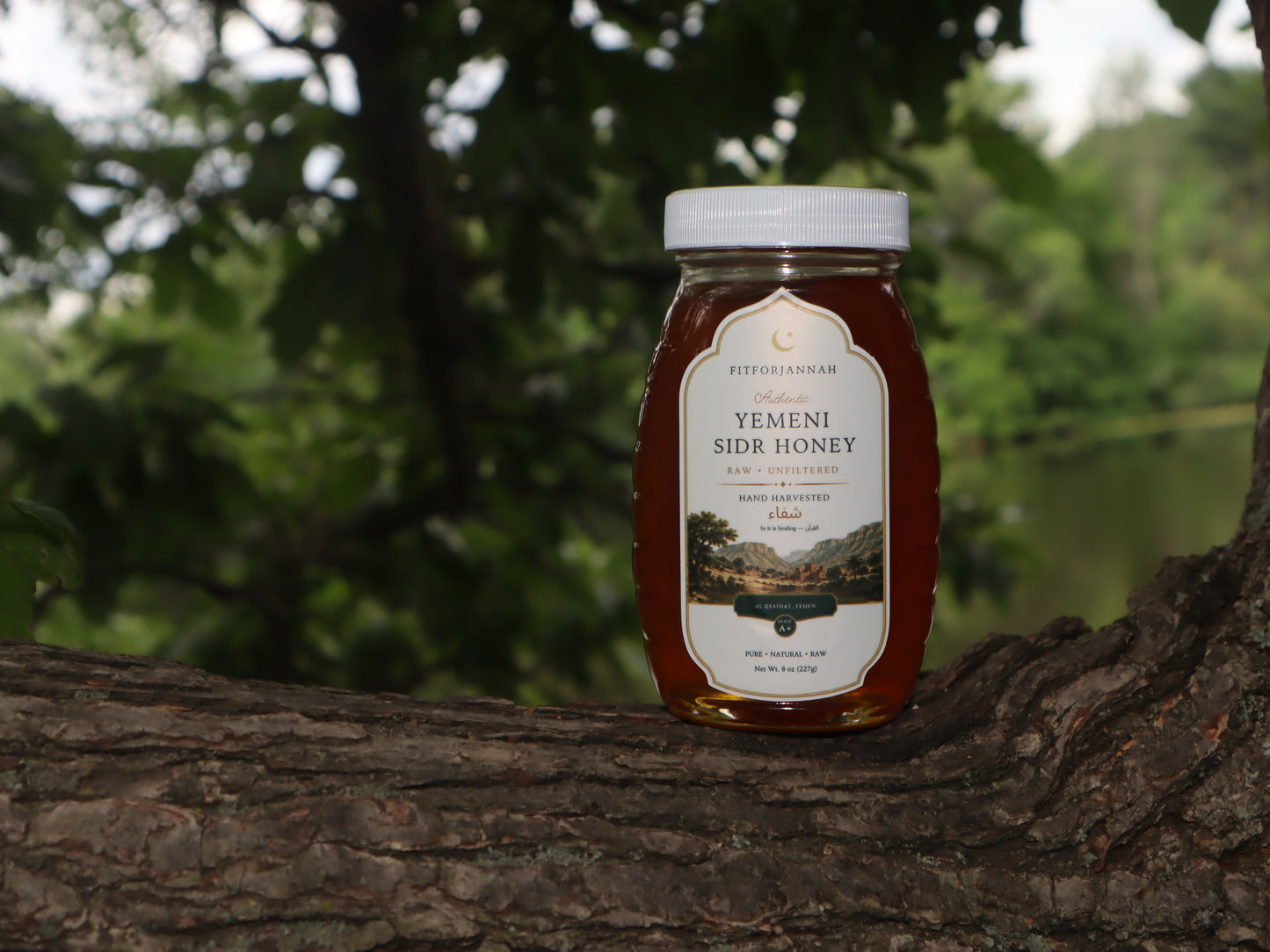 Raw Sidr Honey + Prophetic Medicine Ebook Bundle — Save $14.99
