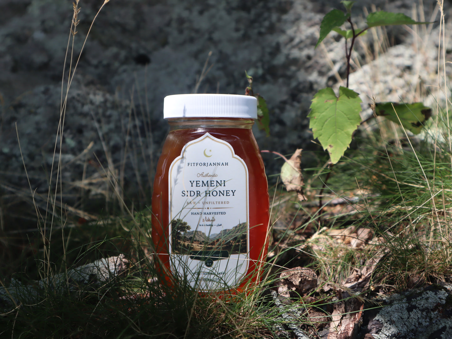Premium Sidr Honey from Wadi Do'an — Raw & Unfiltered, Hand-Harvested in Yemen