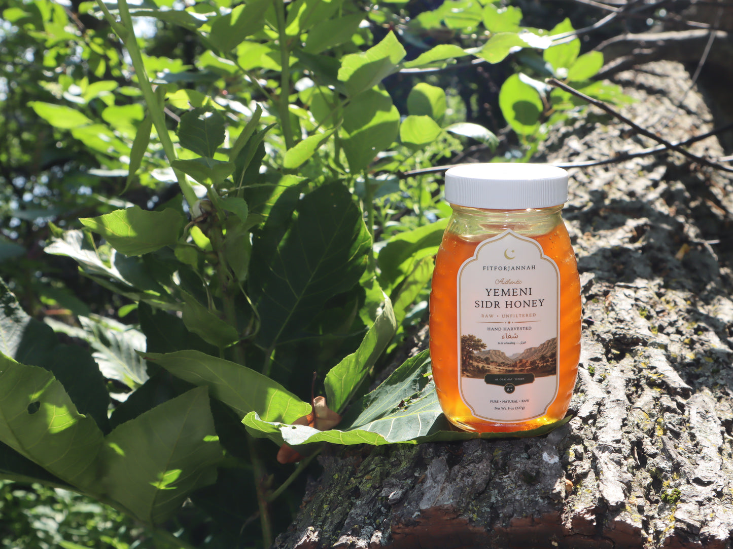 Premium Sidr Honey from Wadi Do'an — Raw & Unfiltered, Hand-Harvested in Yemen