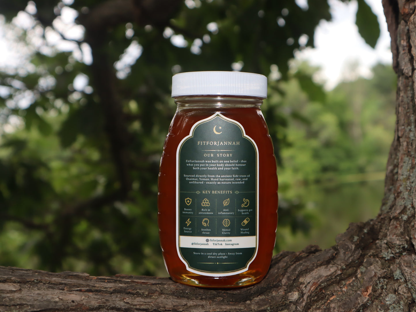 Raw Sidr Honey + Prophetic Medicine Ebook Bundle — Save $14.99