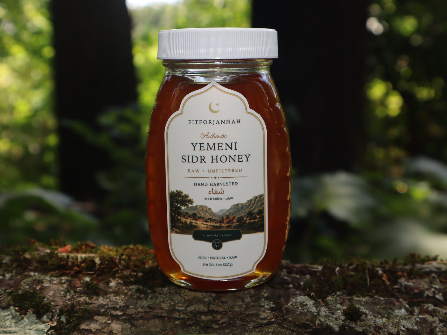 Raw Sidr Honey + Prophetic Medicine Ebook Bundle — Save $14.99